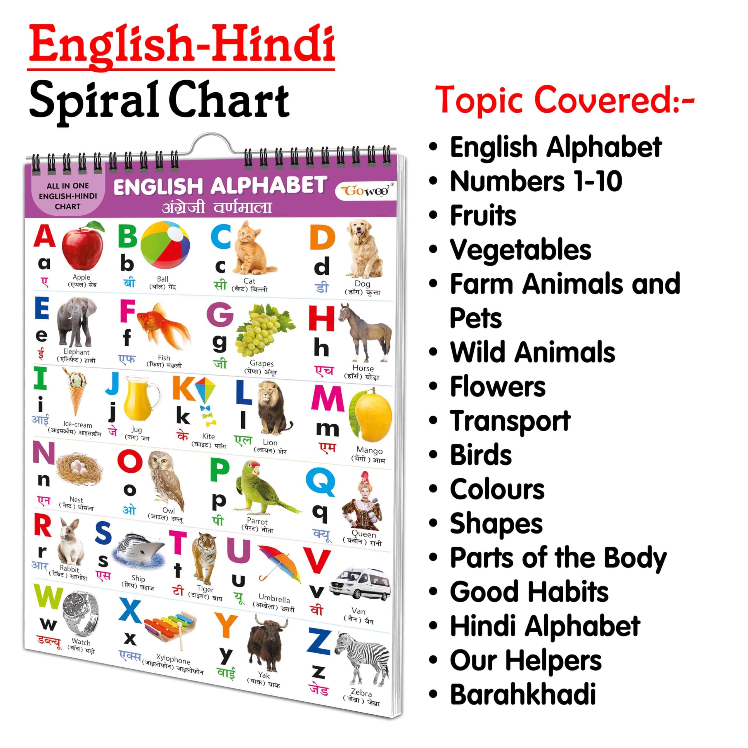 My First All In One Spiral Chart (English-Hindi) : Chart Book Of All In One, Early Childhood Learning Chart With 16 Topics, Birthday Gifts For Children Best Friend