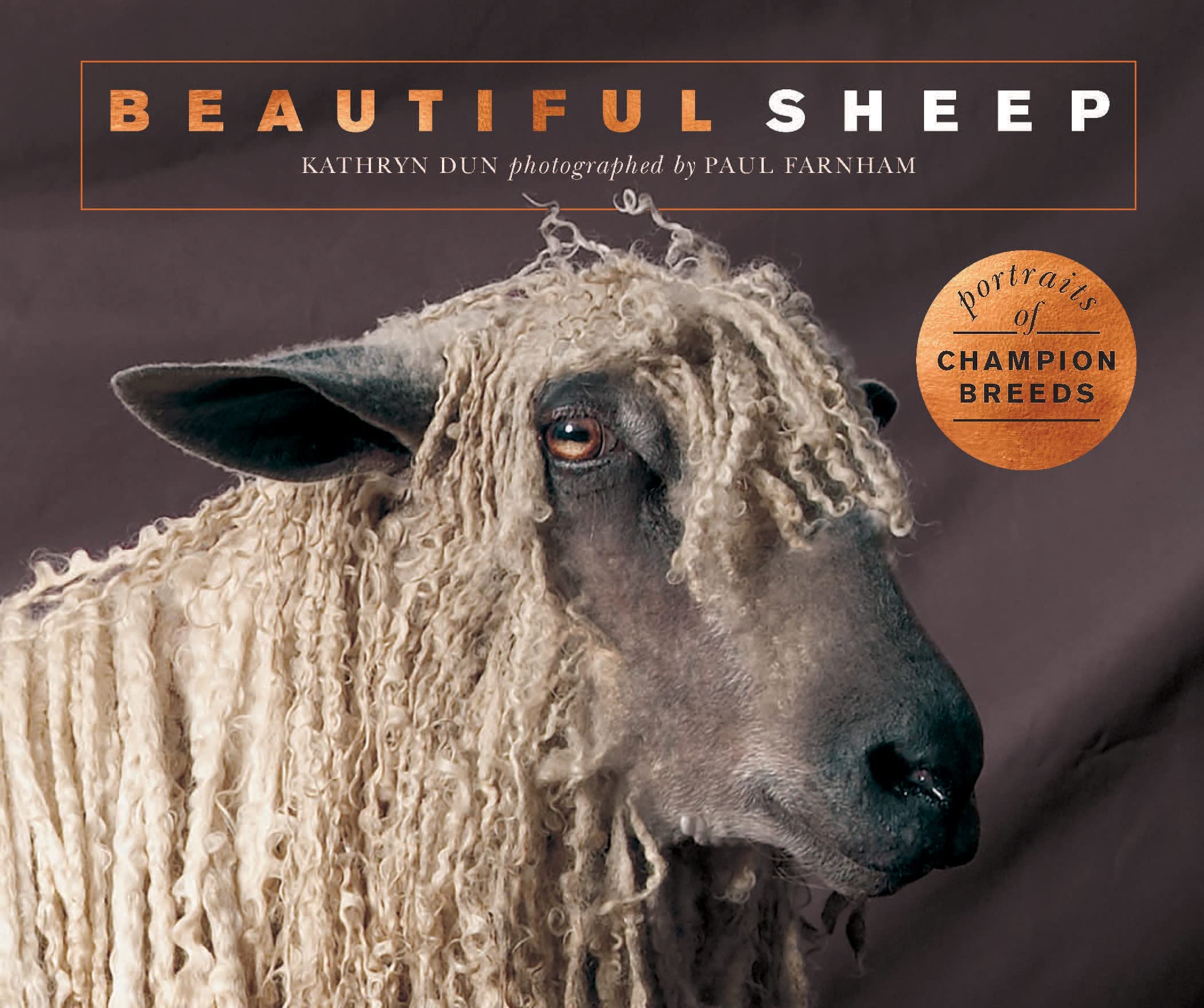 Beautiful Sheep: Portraits Of Champion Breeds (Beautiful Animals)