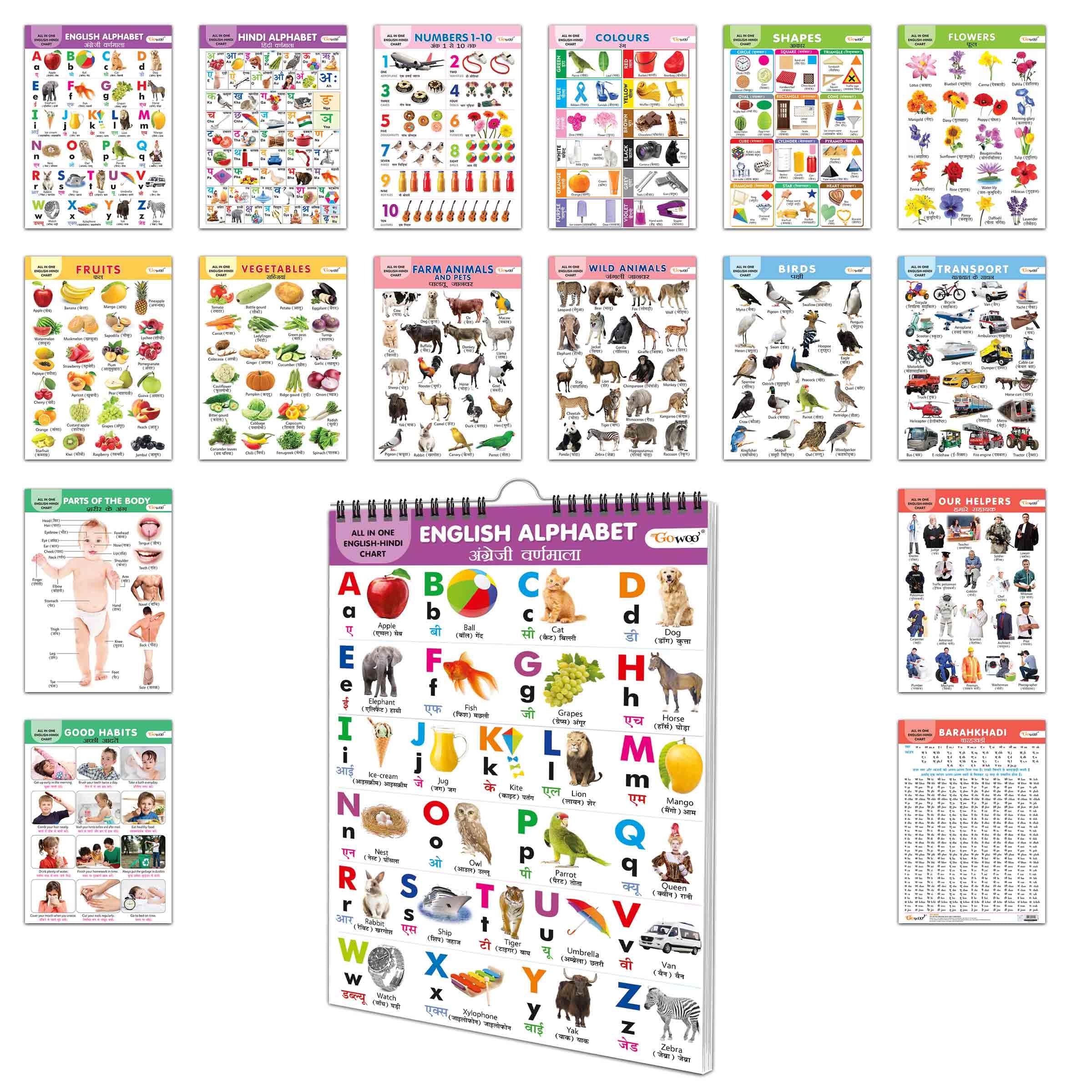 My First All In One Spiral Chart (English-Hindi) 6 : Early Learning Chart Book Collections, Chart Book With 16 Topics, Gift For Kids