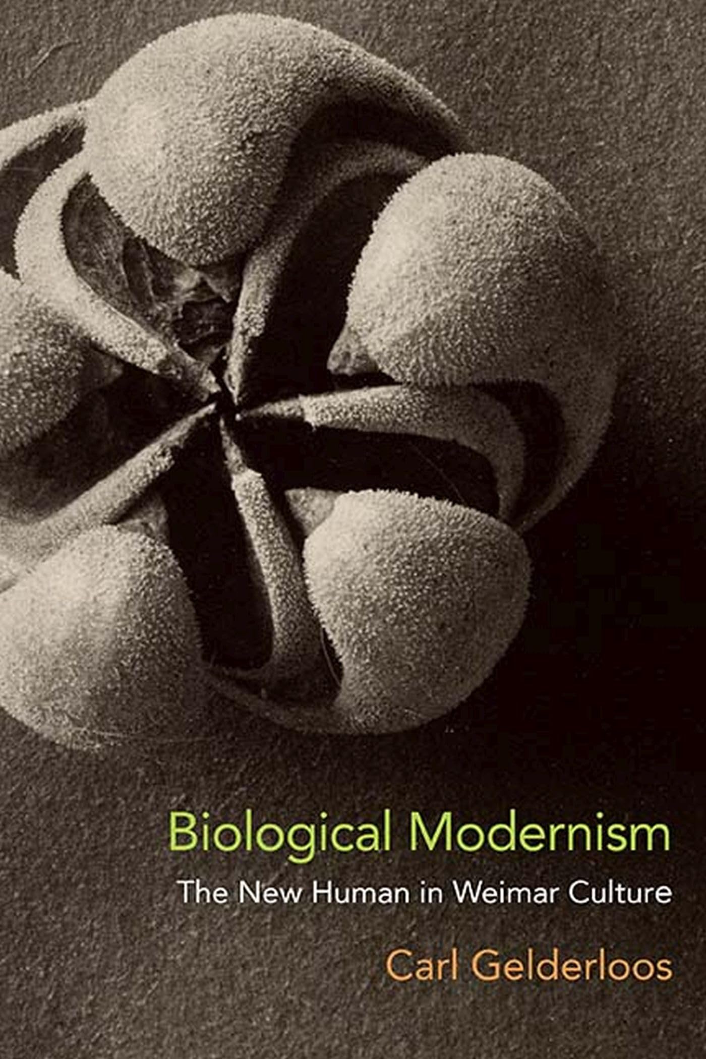 Biological Modernism: The New Human In Weimar Culture,Used