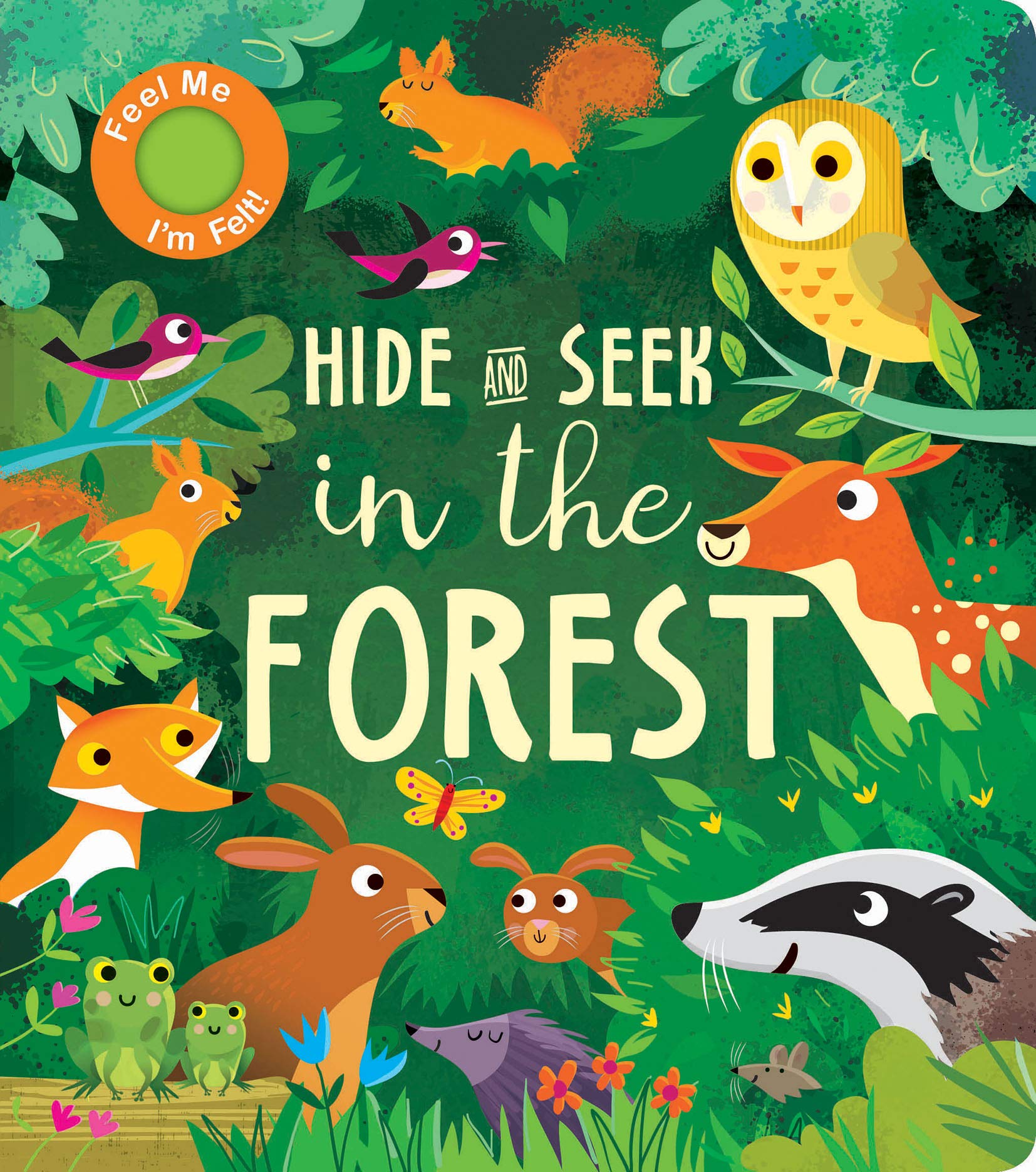 Hide and Seek In the Forest,Used