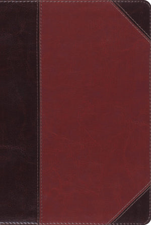 ESV Study Bible, Personal Size (TruTone, Brown/Cordovan, Portfolio Design),New