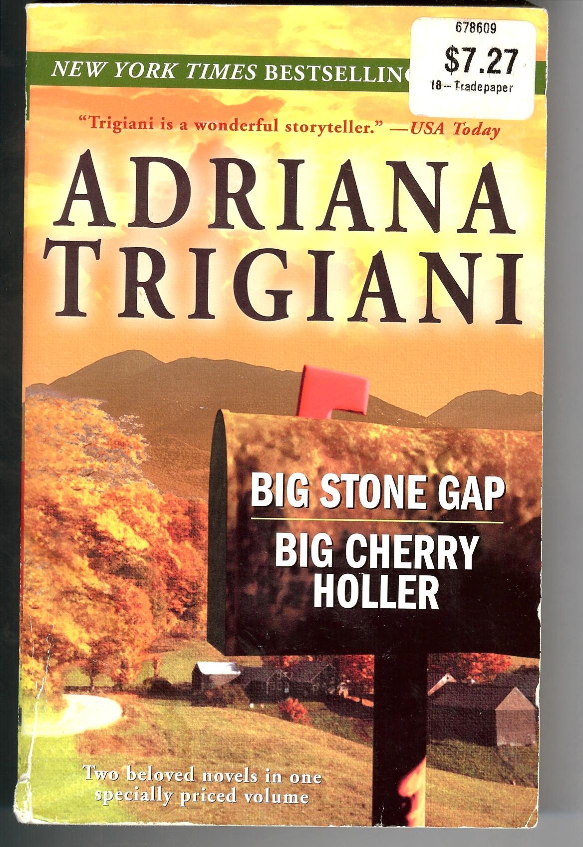 Big Stone Gap Big Cherry Holler,New