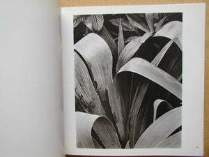 Paul Strand (Aperture Masters Of Photography Series, Number One),New