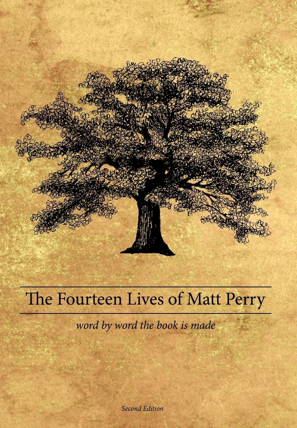 The Fourteen Lives of Matt Perry,Used