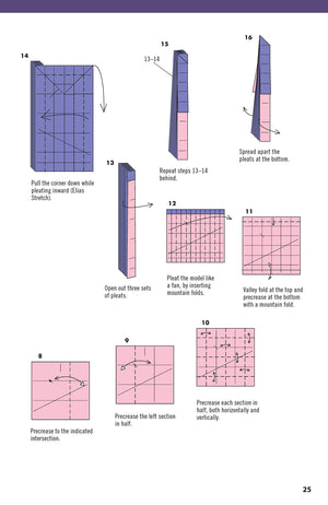 Extraordinary Origami: 20 Projects from Contemporary American Masters (Fox Chapel Publishing) StepbyStep Instructions for Frog,Used