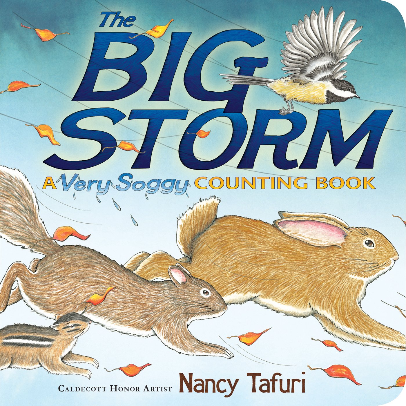 The Big Storm: A Very Soggy Counting Book (Classic Board Books),Used