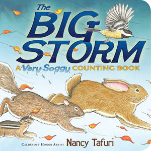 The Big Storm: A Very Soggy Counting Book (Classic Board Books),Used