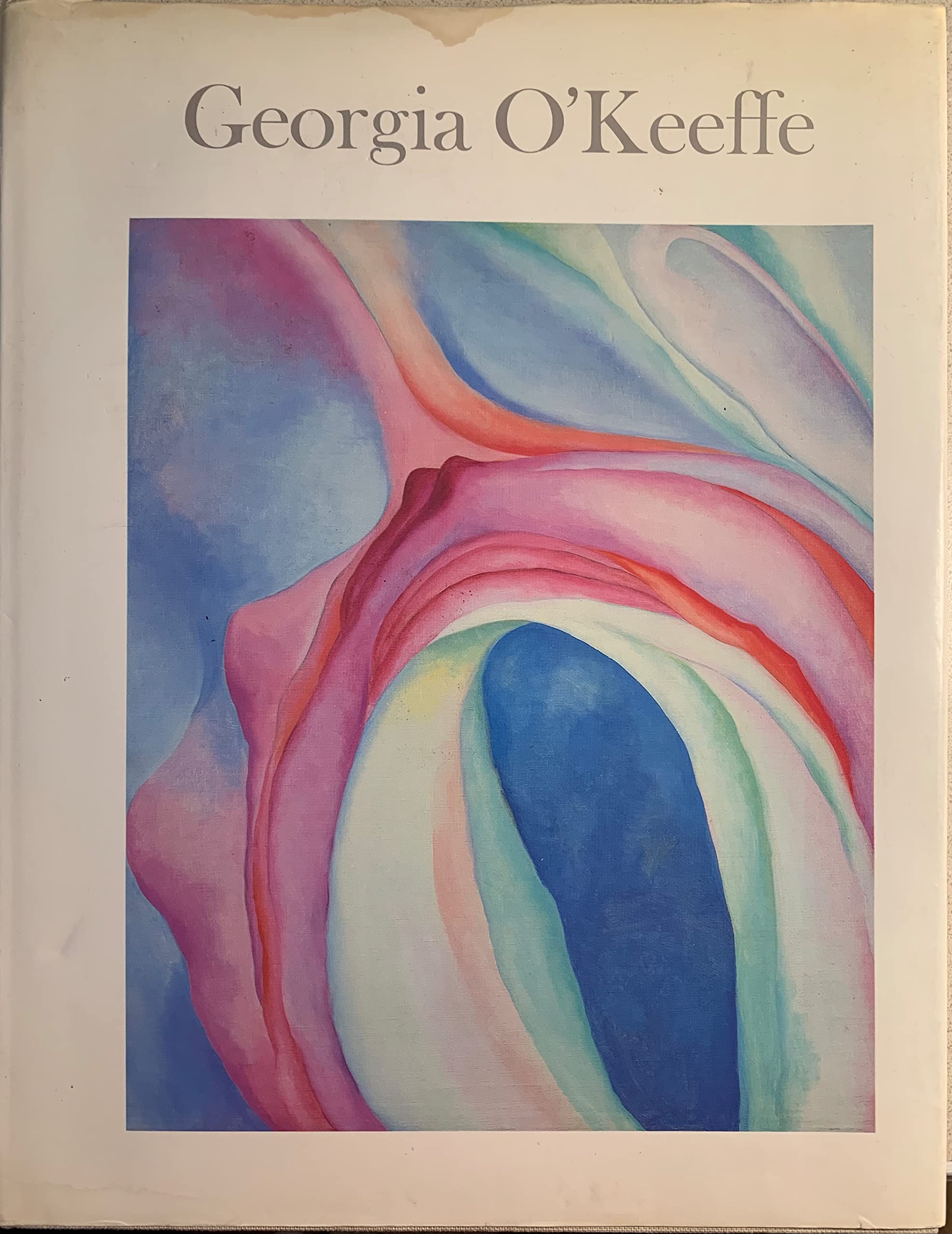 Georgia O'Keeffe: Art and Letters,Used