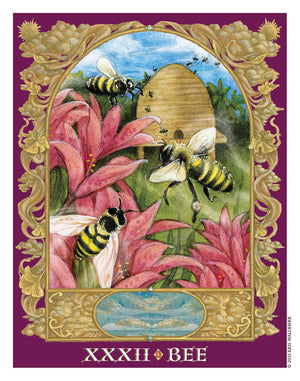 Sacred World Oracle,Used