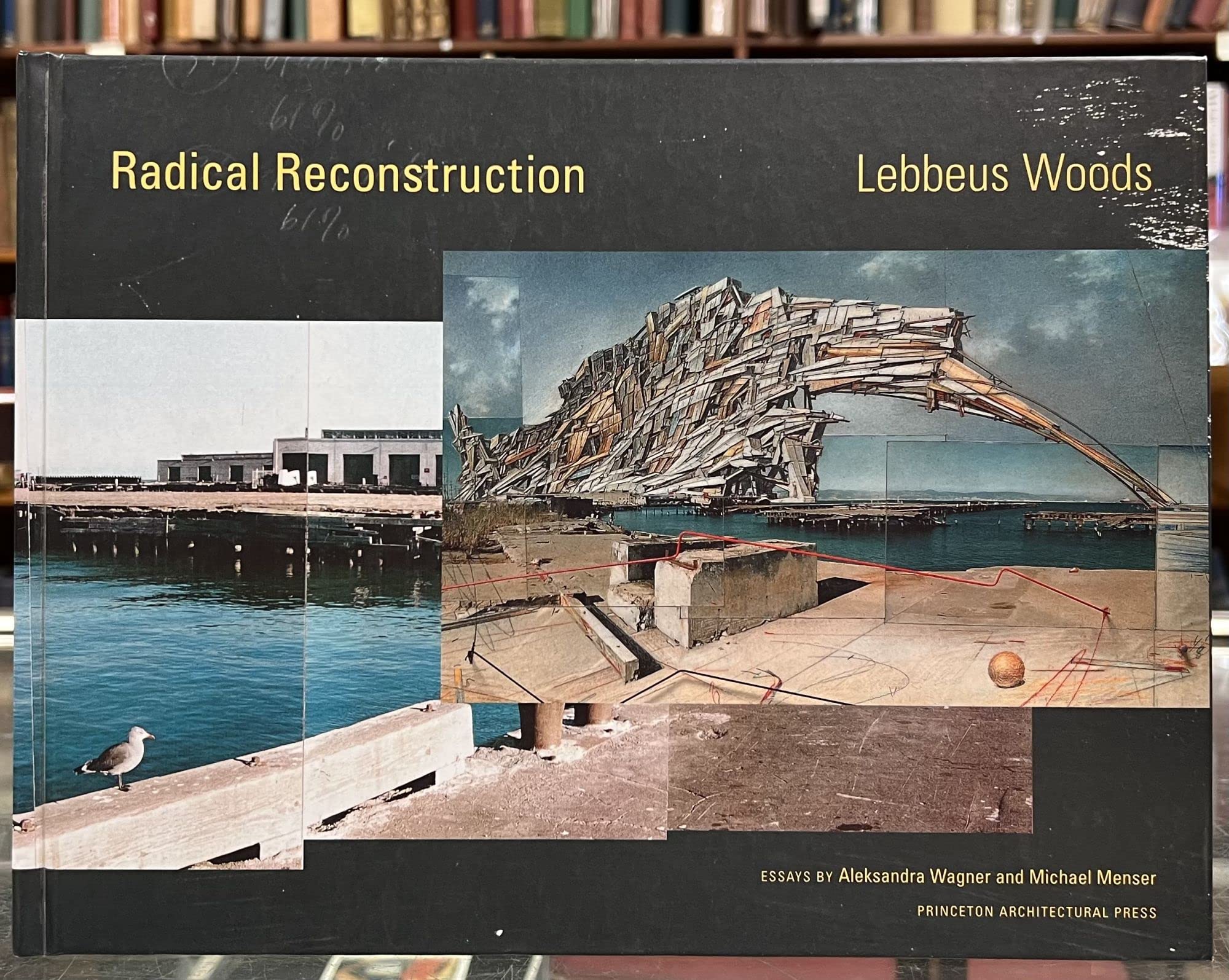 Radical Reconstruction,Used