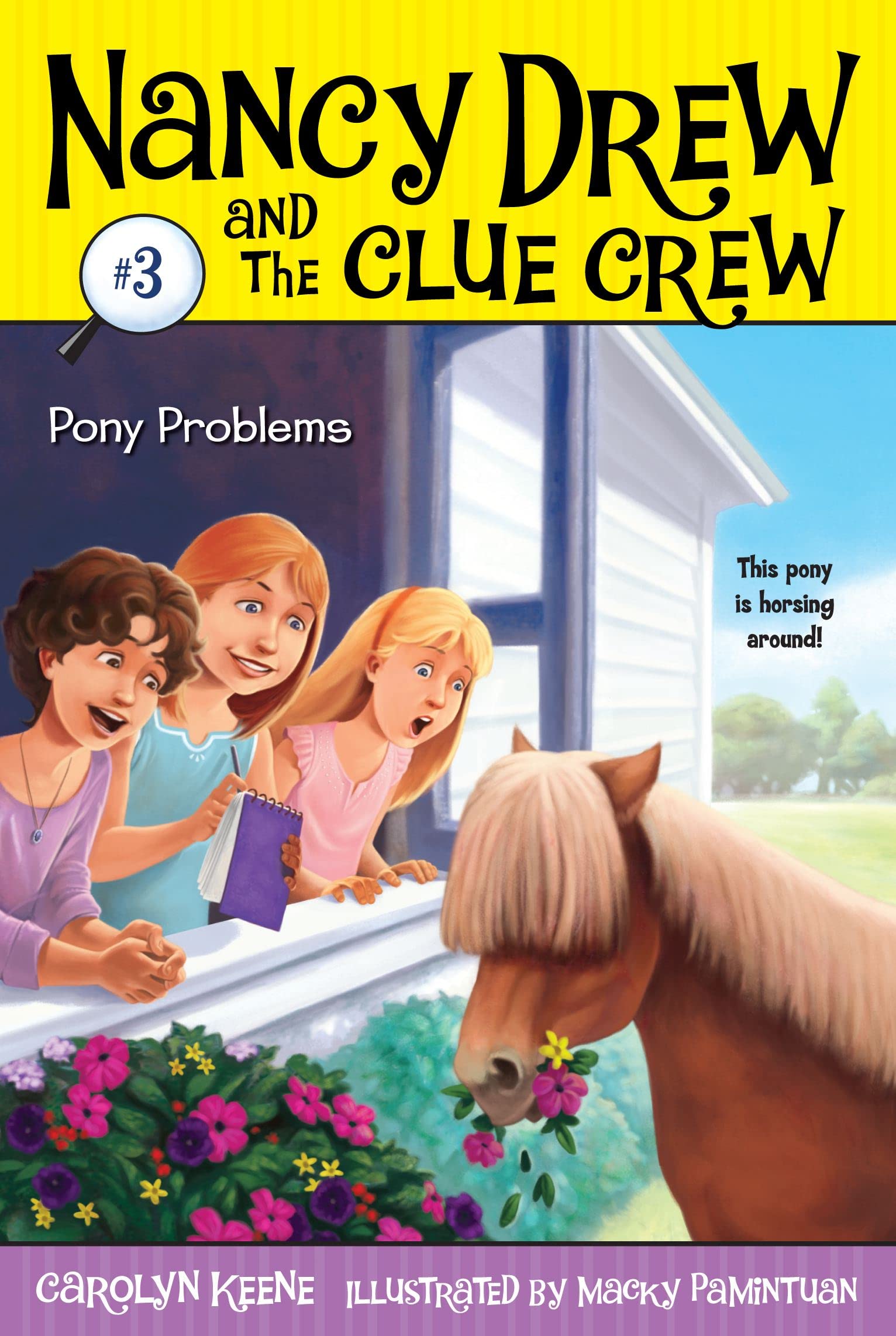 Pony Problems (Nancy Drew and the Clue Crew #3),New