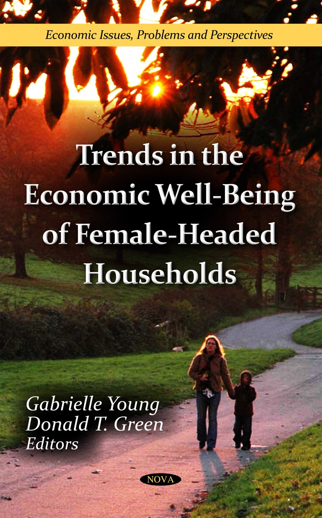 Trends In The Economic Wellbeing Of Femaleheaded Households (Economic Issues, Problems And Perspectives),Used