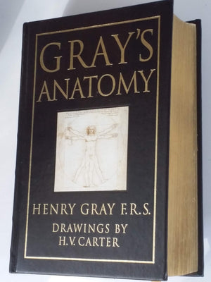 Gray's Anatomy,New