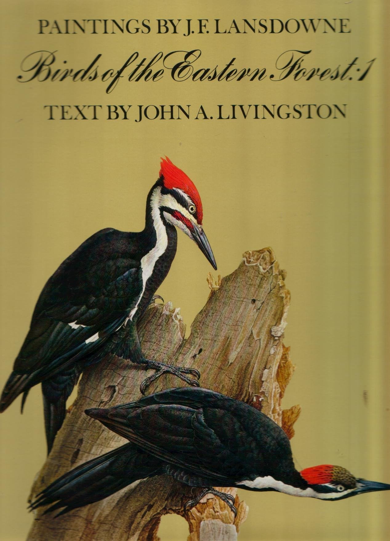 Birds Of The Eastern Forest, Vol. 1,New