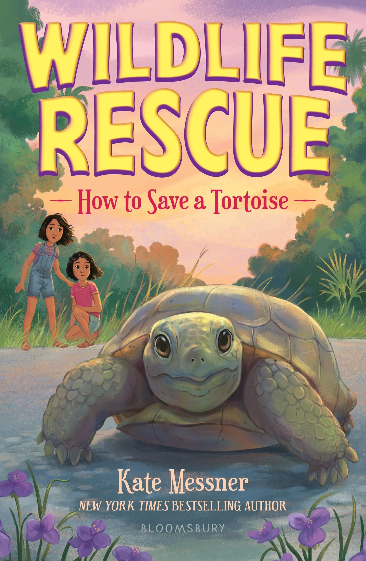 How To Save A Tortoise (Wildlife Rescue)