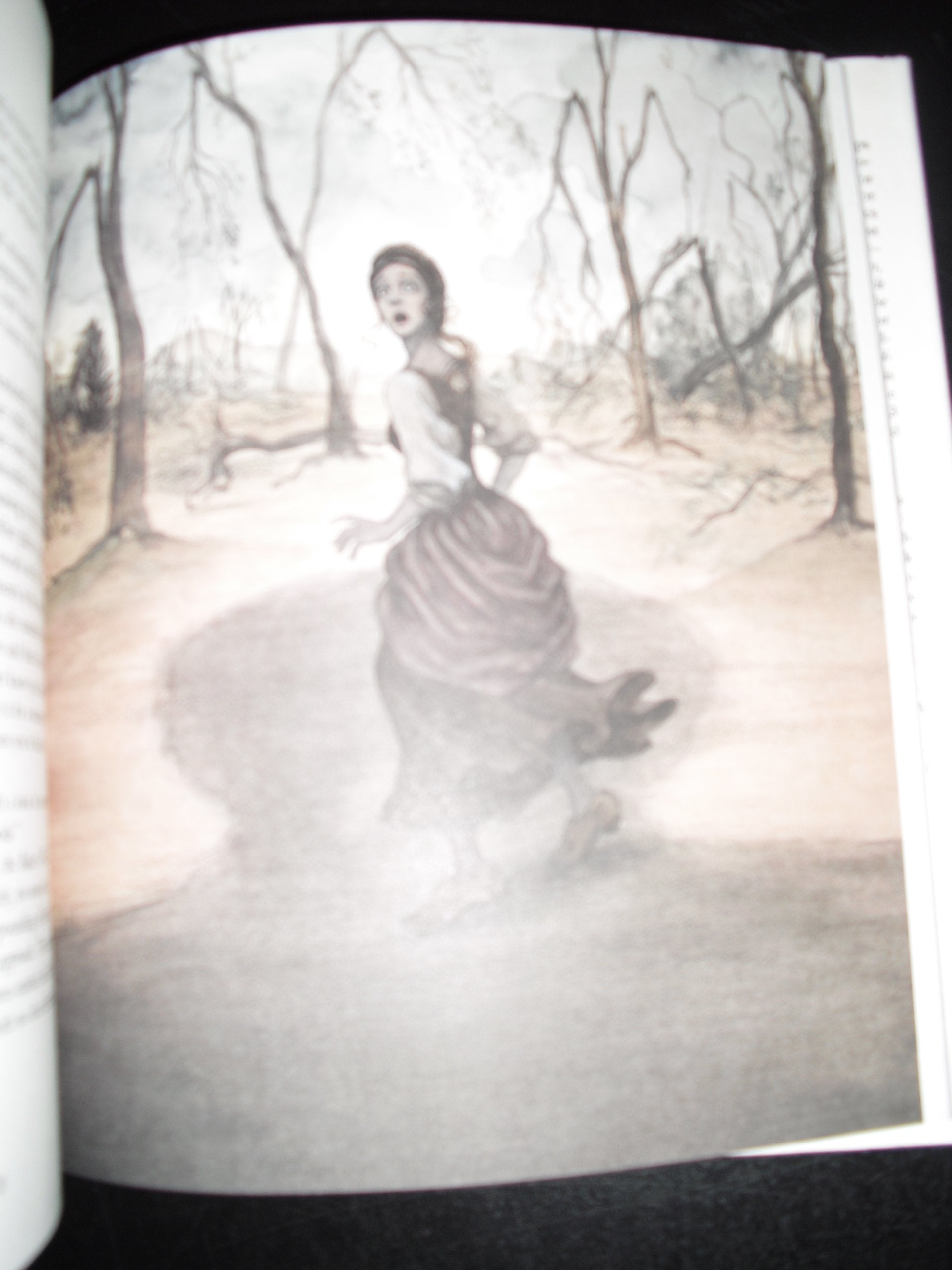 Into the Woods,Used