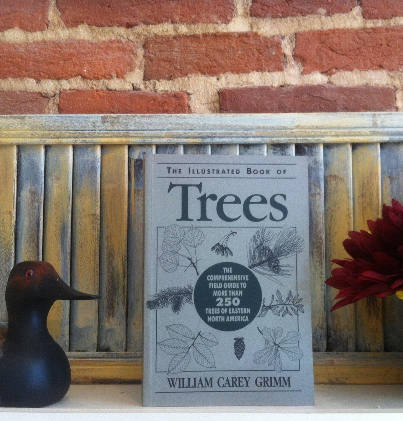 Illustrated Book Of Trees,Used