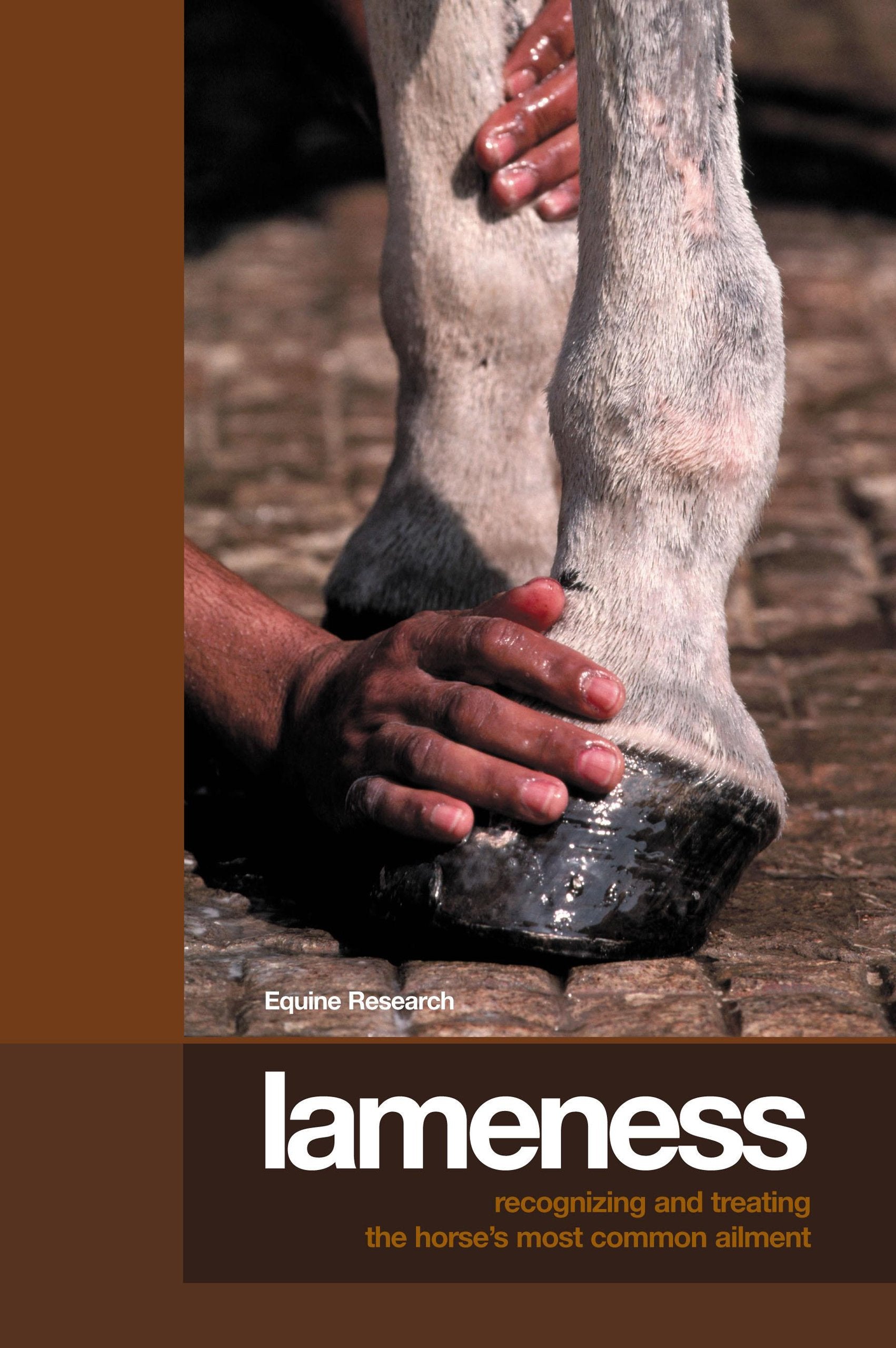 Lameness: Recognizing And Treating The Horse's Most Common Ailment,Used