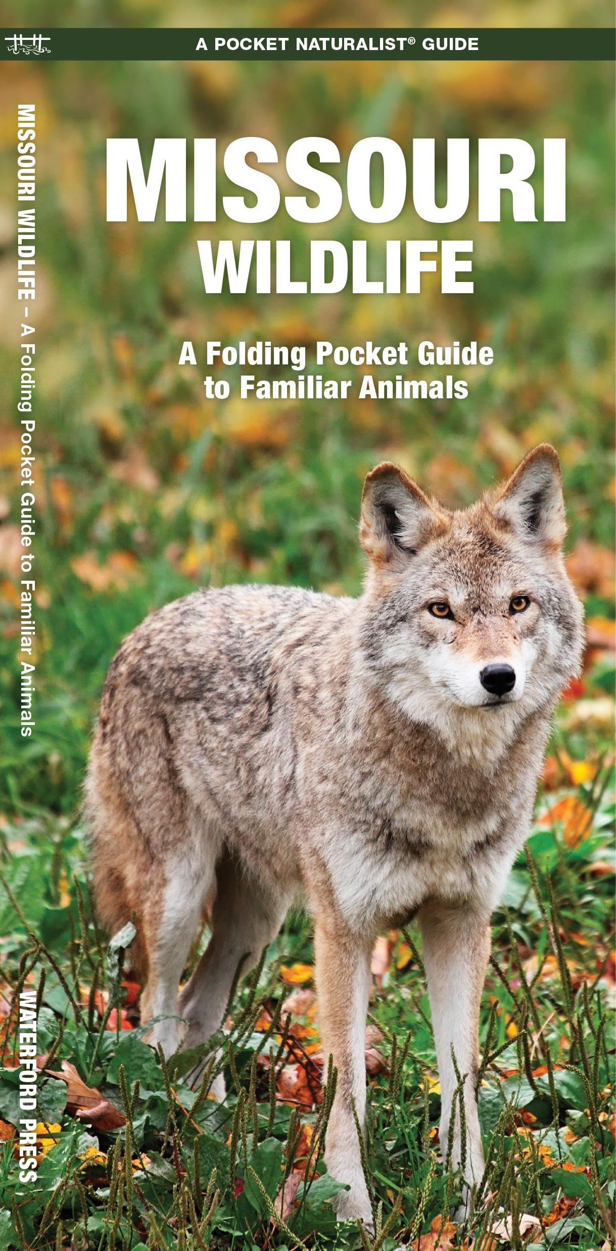Missouri Wildlife: A Folding Pocket Guide to Familiar Animals (Wildlife and Nature Identification),Used