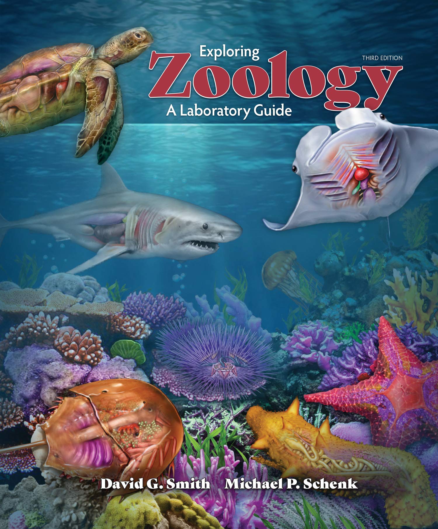 Exploring Zoology: A Laboratory Guide, 3e,Used