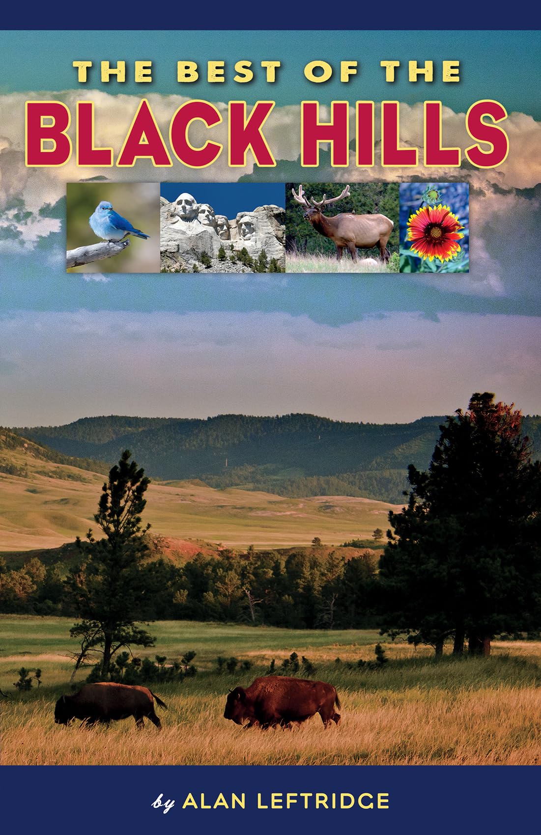 The Best Of The Black Hills,New