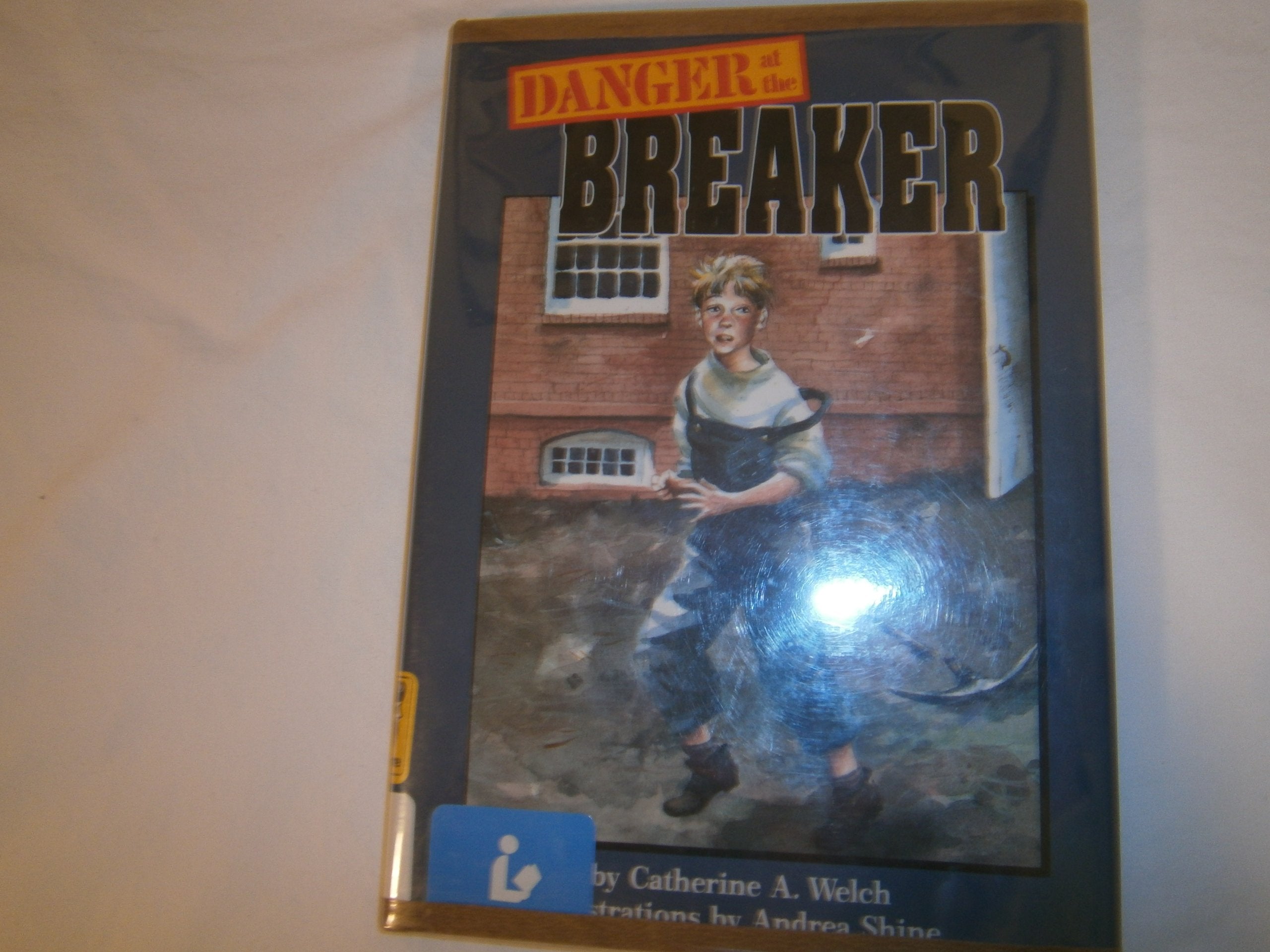 Danger at the Breaker (On My Own Books),Used