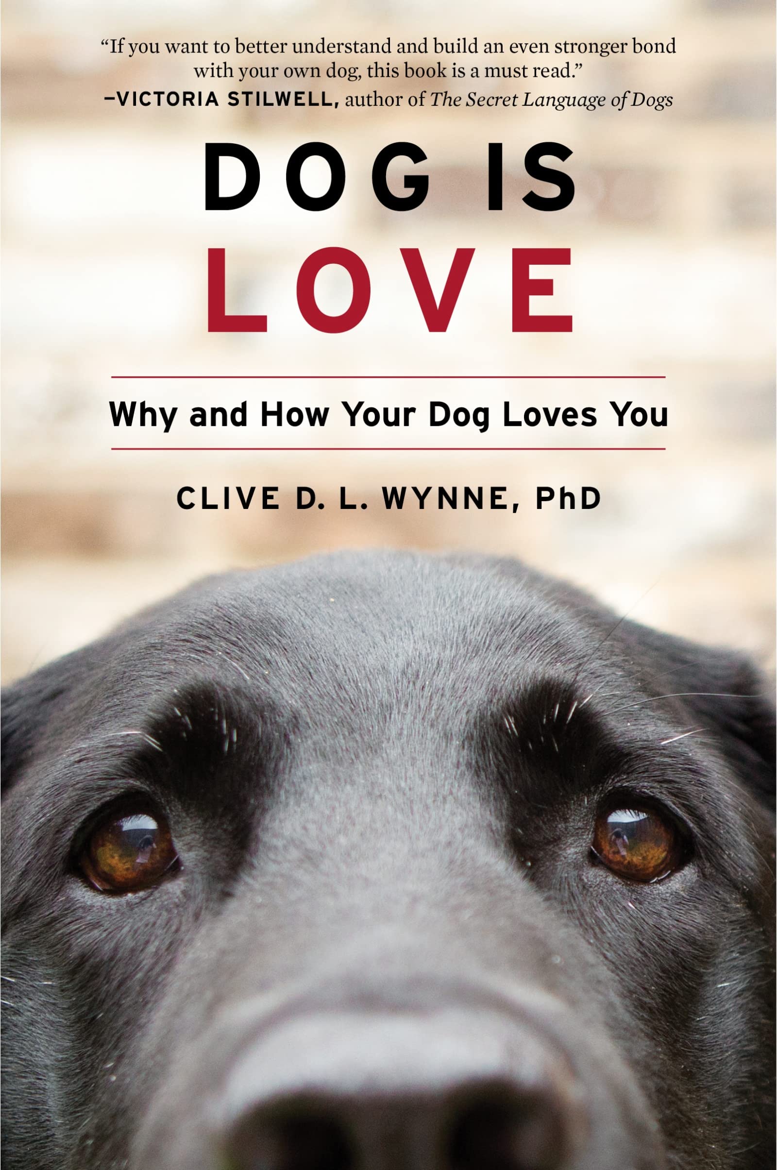 Dog Is Love: Why And How Your Dog Loves You