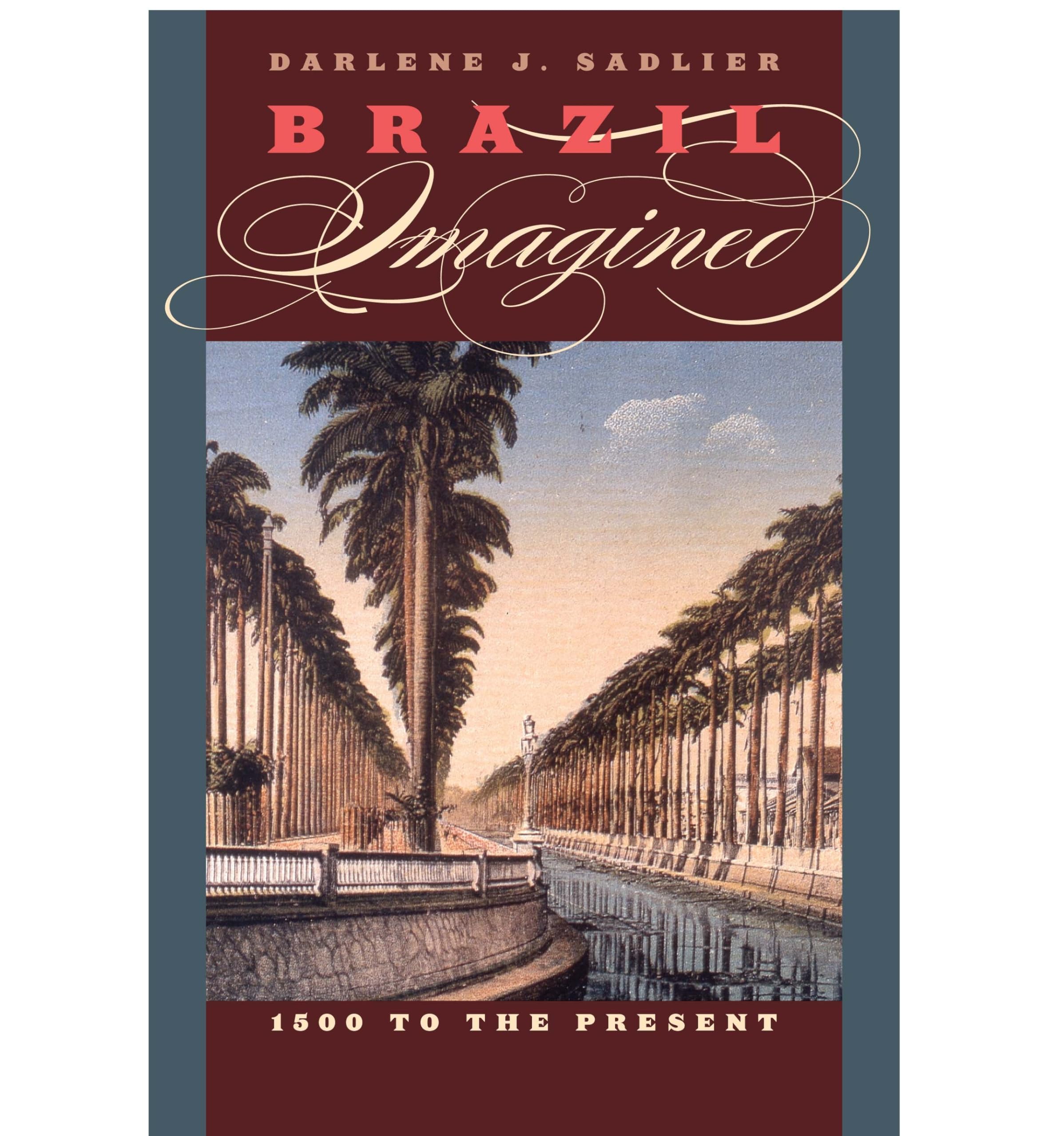 Brazil Imagined: 1500 to the Present (The William and Bettye Nowlin Series in Art, History, and Culture of the Western Hemispher,Used