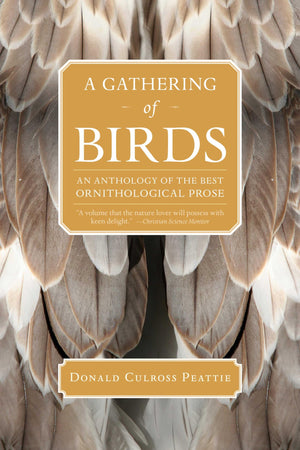 A Gathering Of Birds: An Anthology Of The Best Ornithological Prose,Used