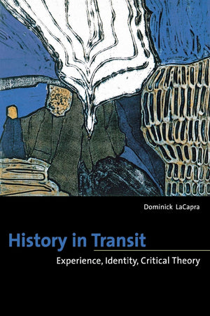 History In Transit: Experience, Identity, Critical Theory,New