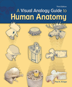 A Visual Analogy Guide to Human Anatomy,Used
