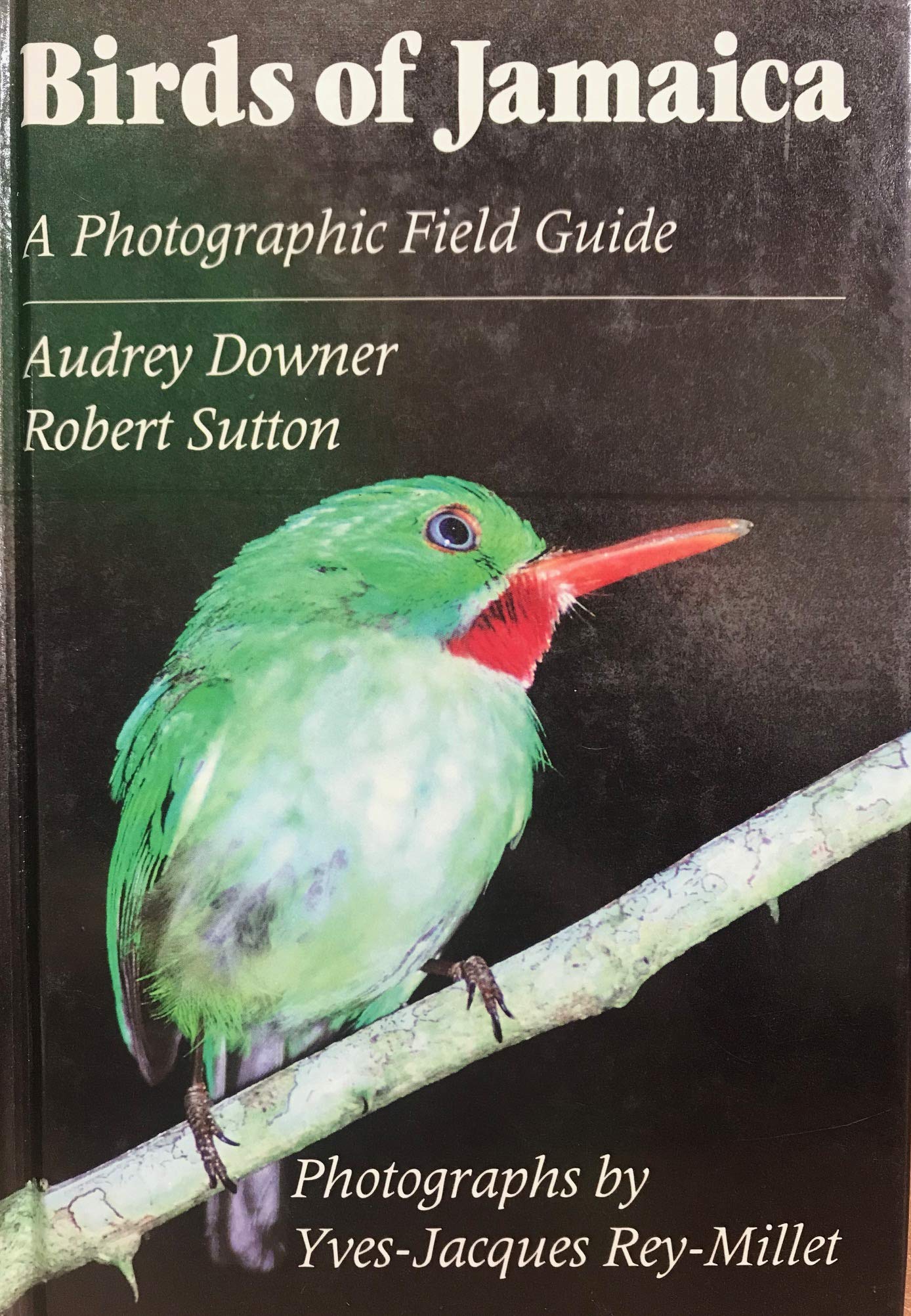 Birds of Jamaica: A Photographic Field Guide,Used