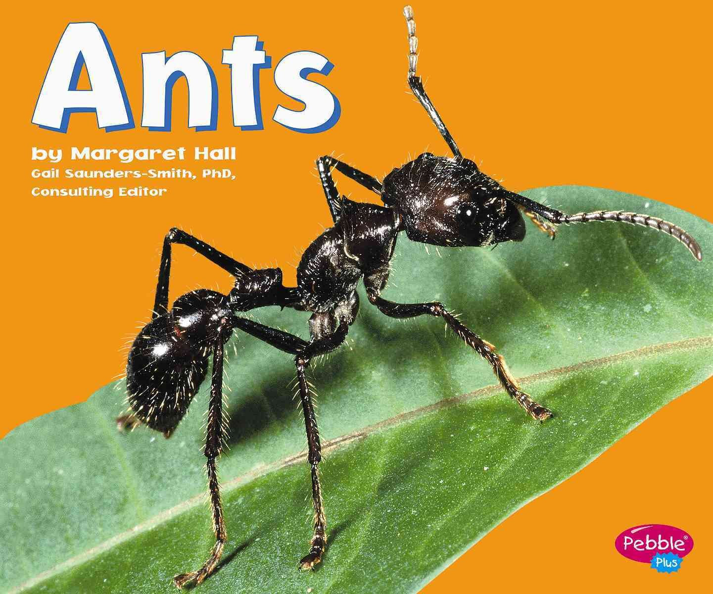 Ants (Pebble Plus),Used