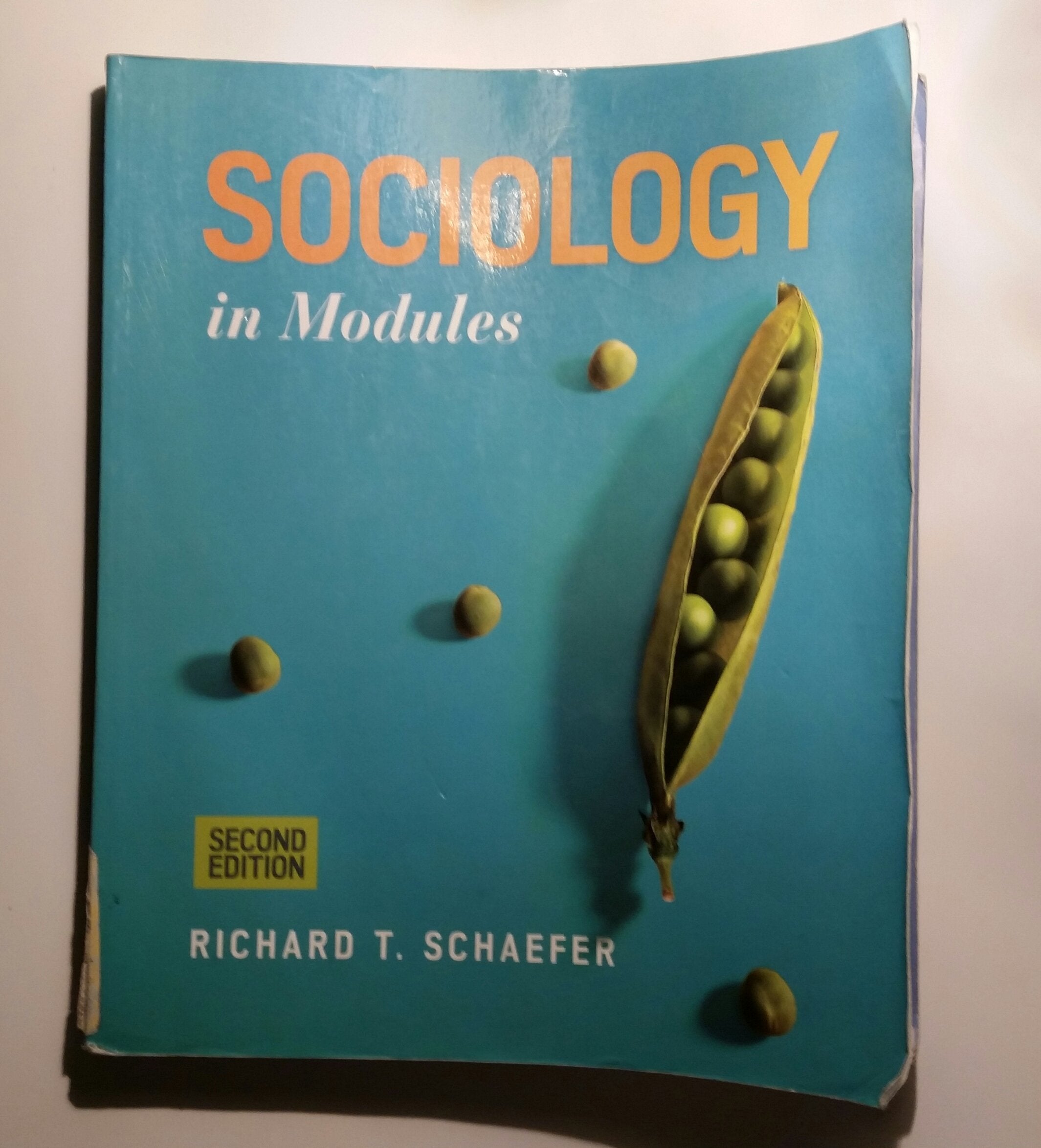 Sociology in Modules,Used