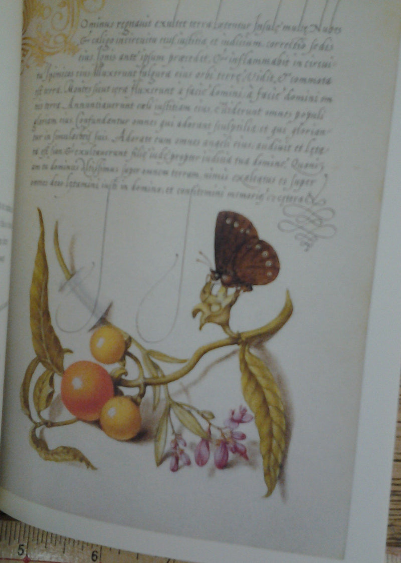 Mira calligraphiae monumenta,Used