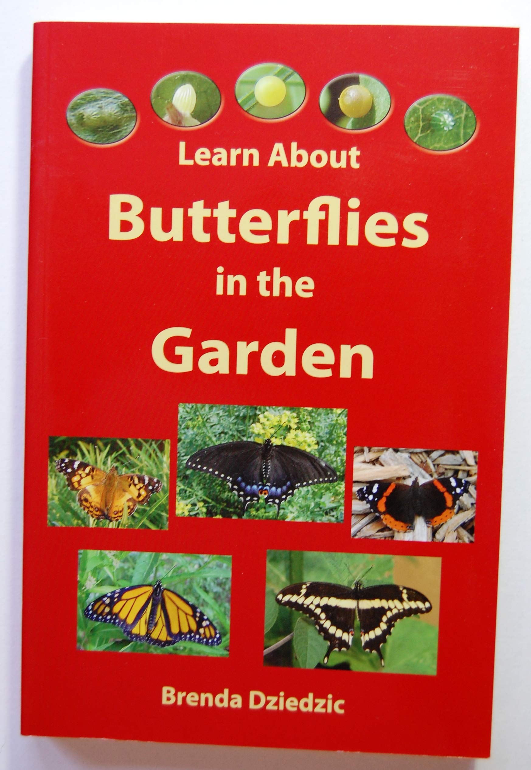Learn About Butterflies in the Garden,Used