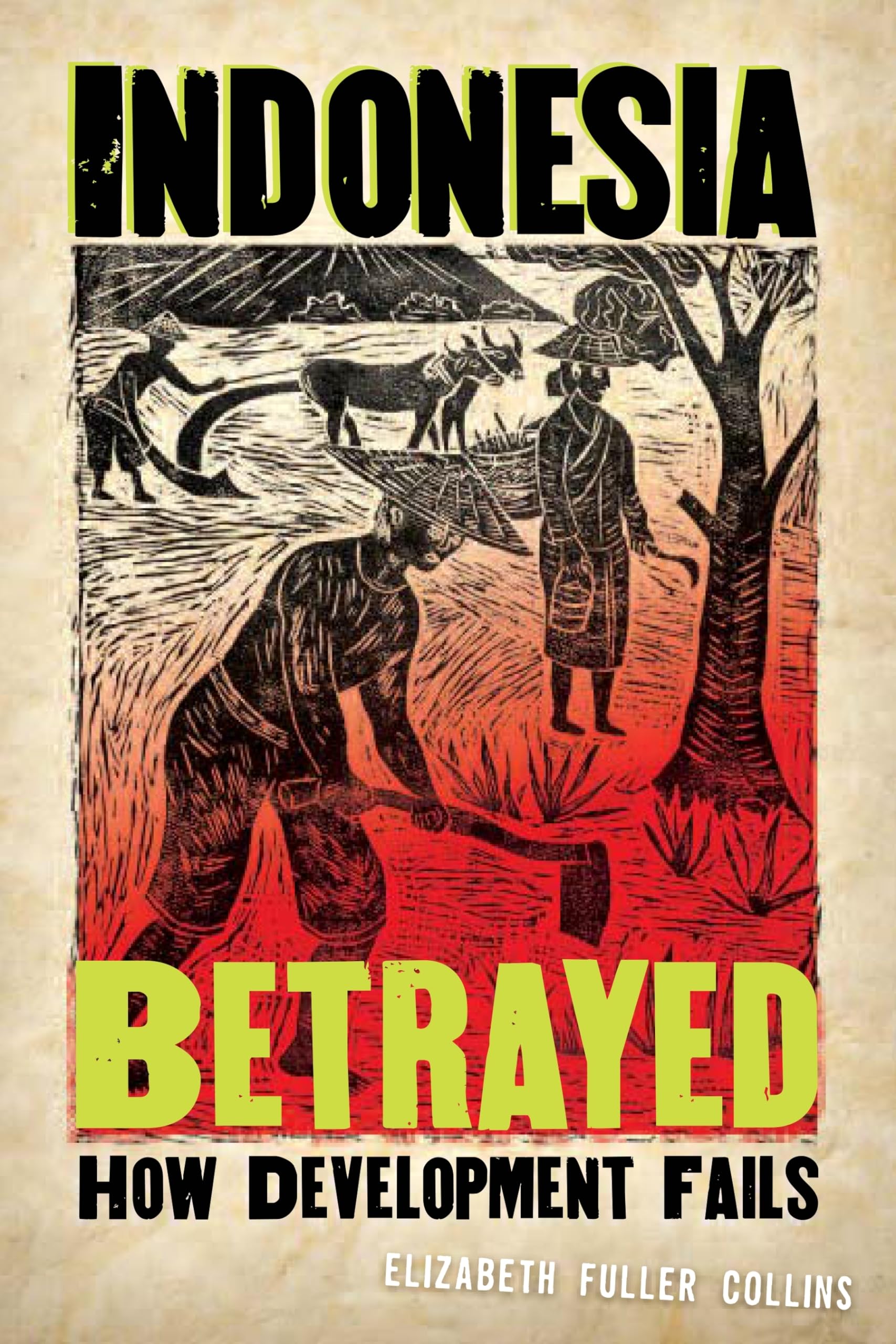 Indonesia Betrayed: How Development Fails,Used
