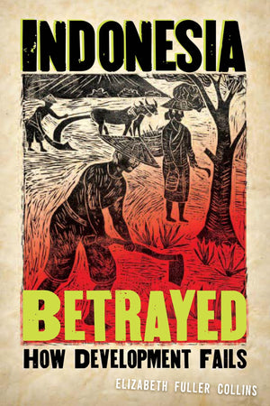 Indonesia Betrayed: How Development Fails,Used