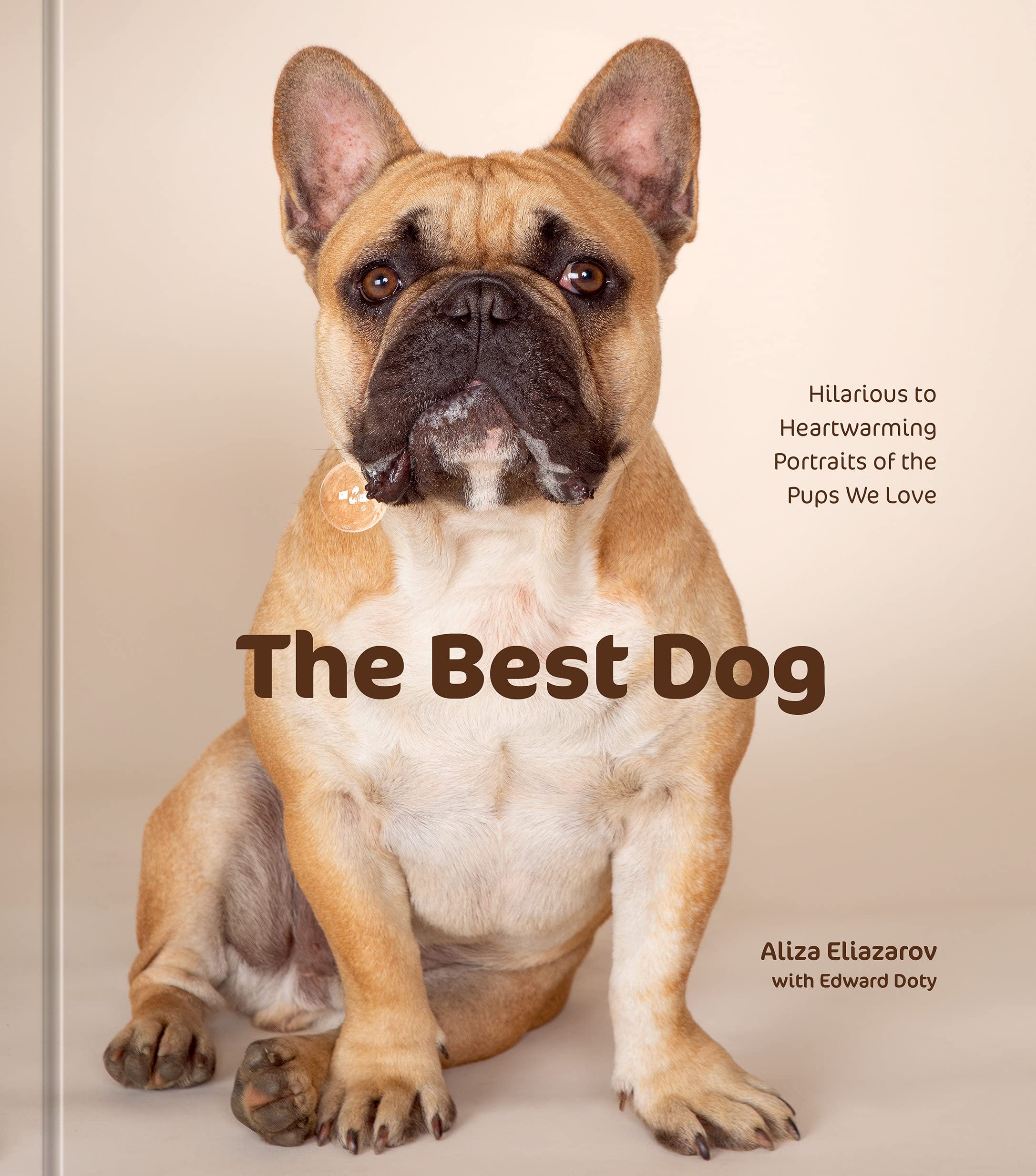 The Best Dog: Hilarious To Heartwarming Portraits Of The Pups We Love,Used