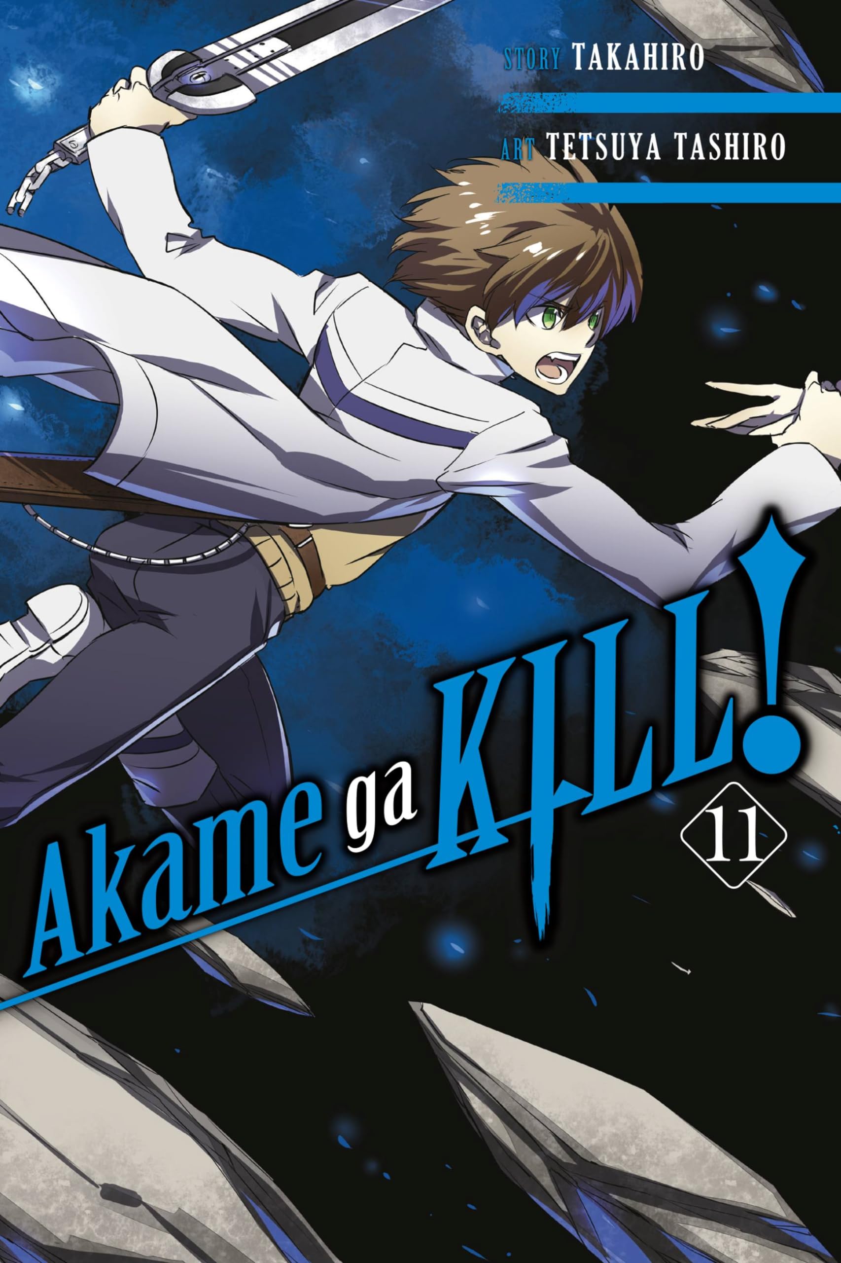 Akame Ga Kill!, Vol. 11 (Akame Ga Kill!, 11)-used