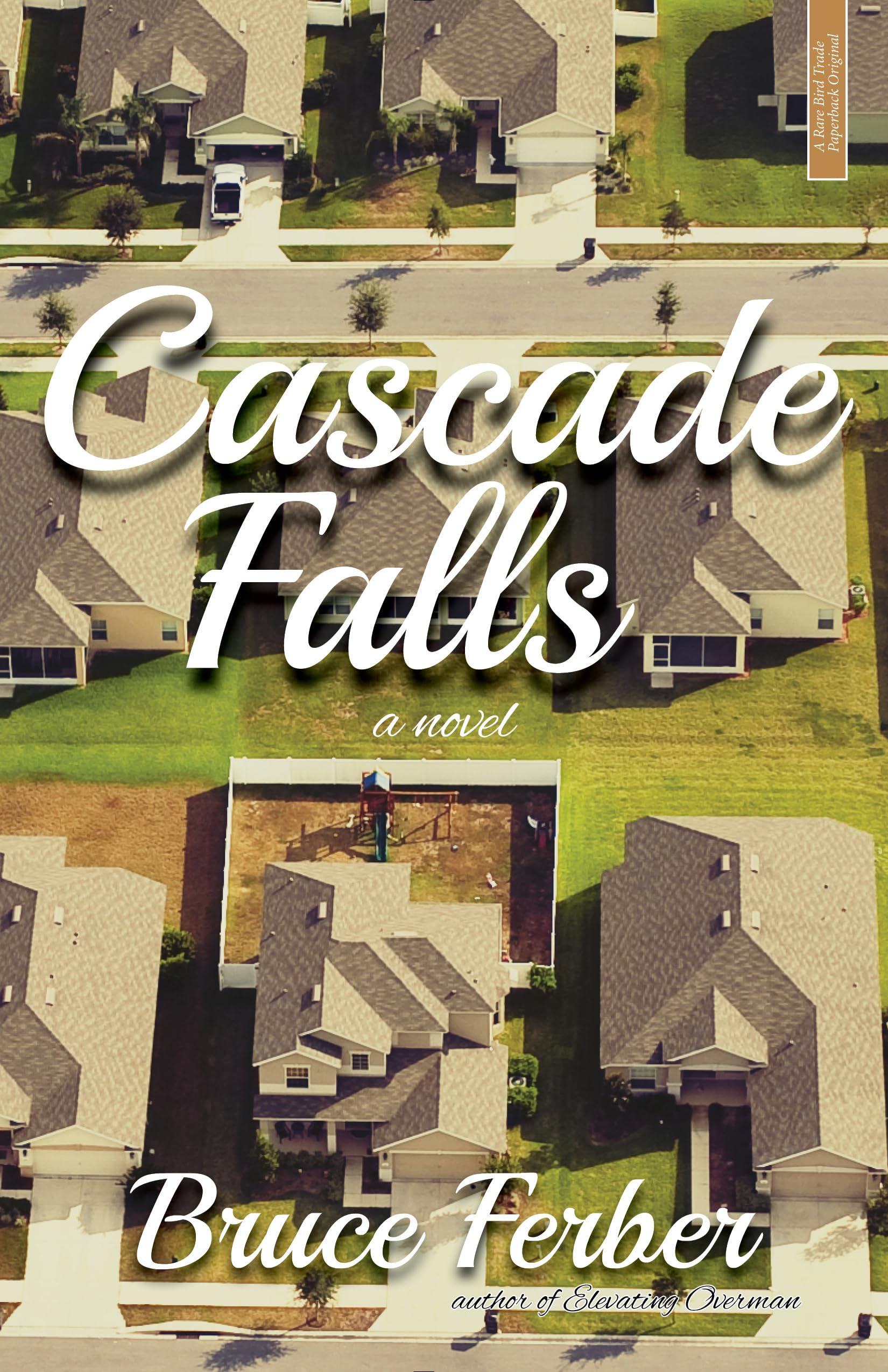 Cascade Falls: A Novel,Used