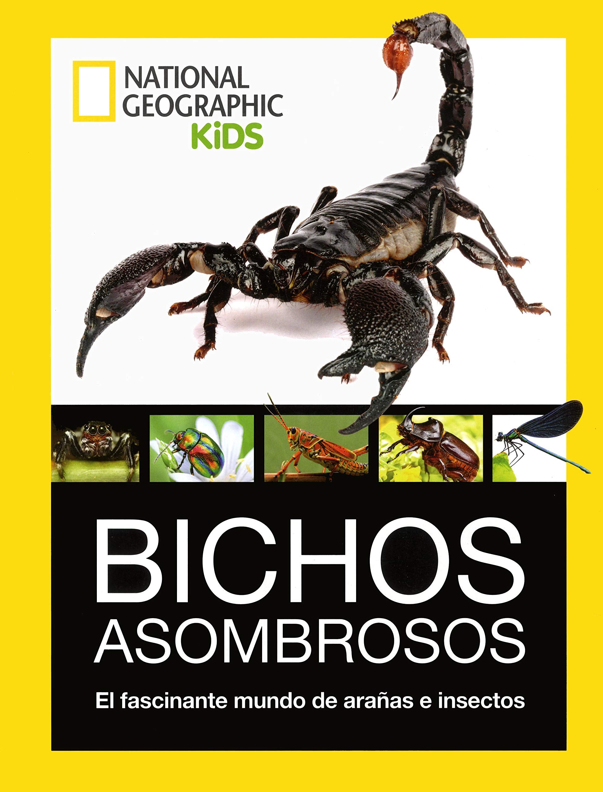 Bichos asombrosos. El fascinante mundo de araas e insectos,Used