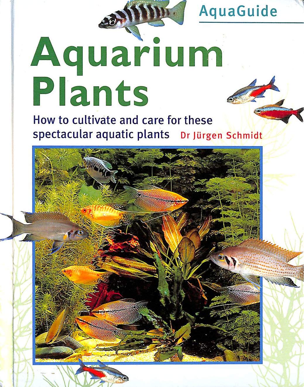 Aquarium Plants (The Aquamaster),Used