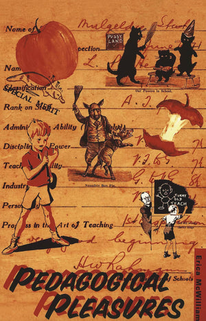Pedagogical Pleasures,Used