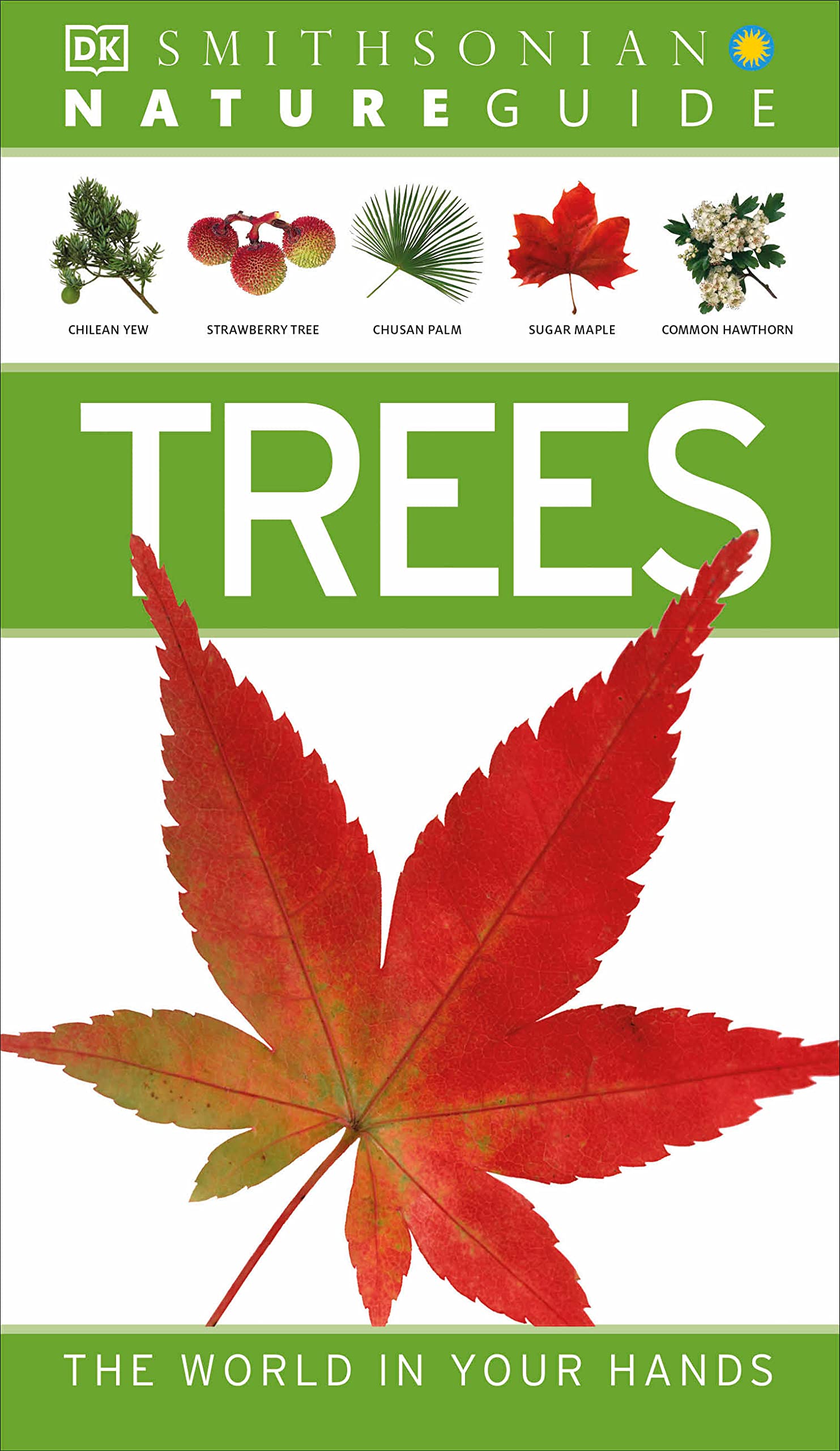 Nature Guide: Trees: The World in Your Hands (DK Nature Guides),Used