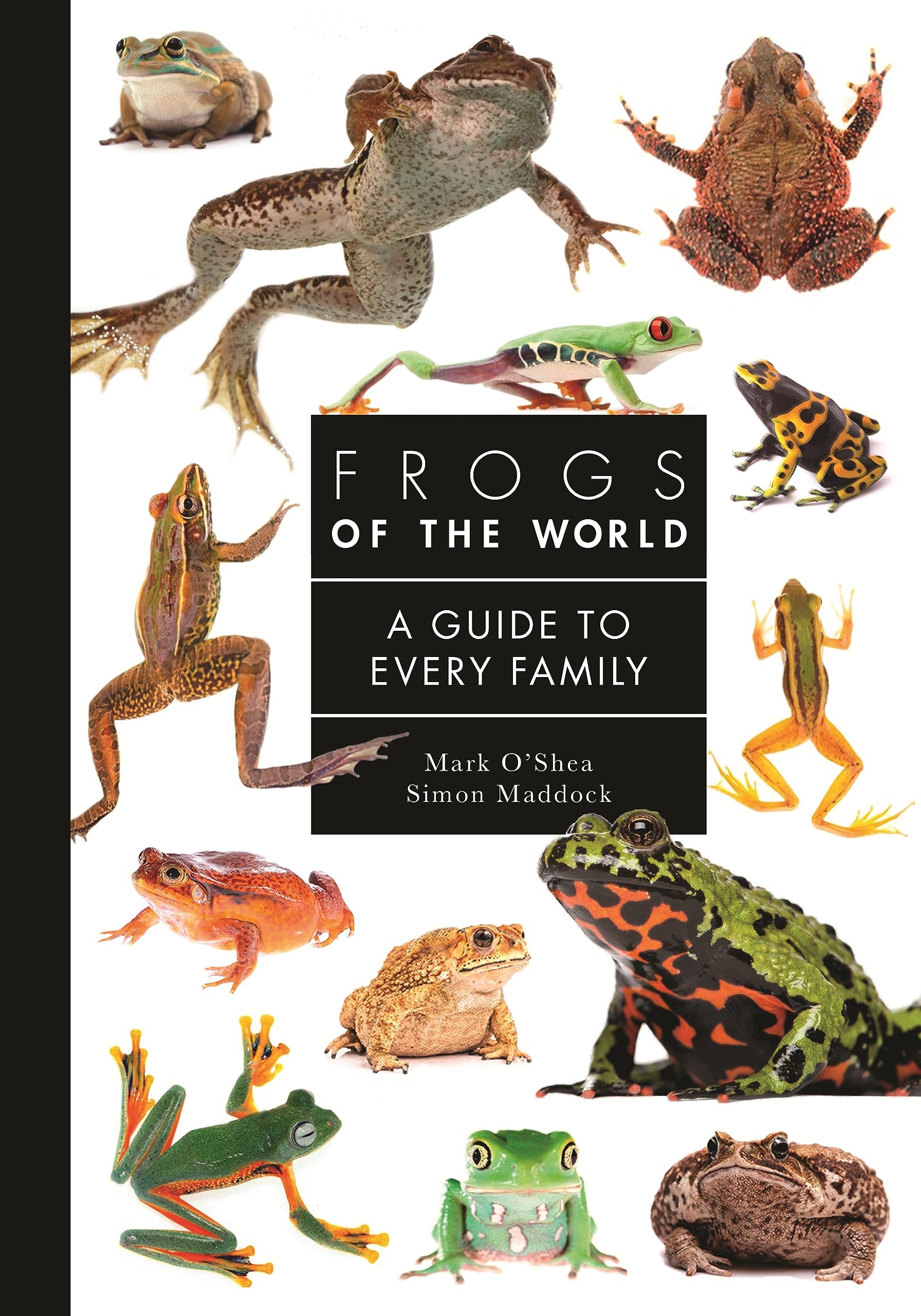 Frogs Of The World: A Guide To Every Family (A Guide To Every Family, 9),Used