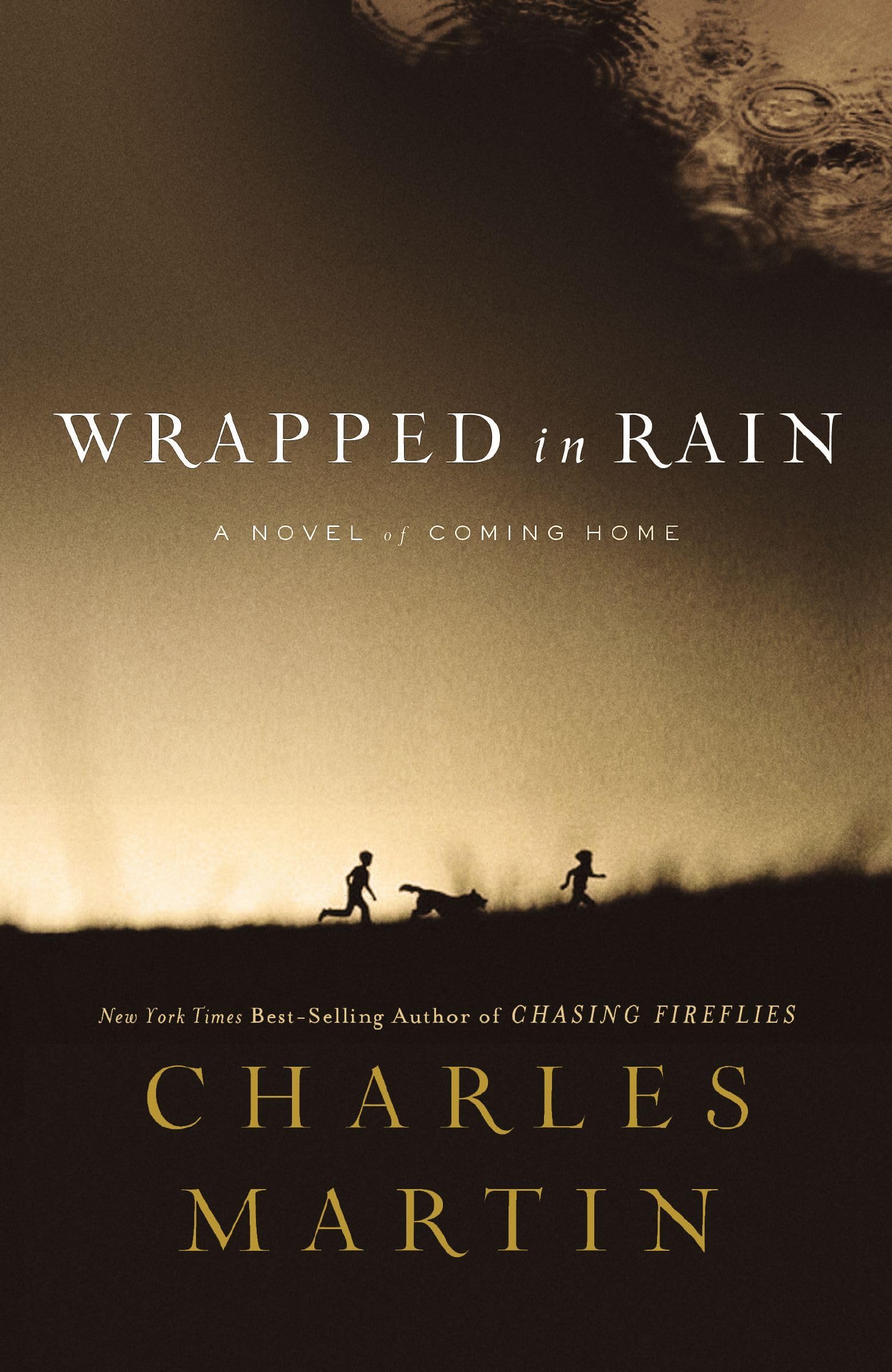 Wrapped in Rain: A Novel,Used