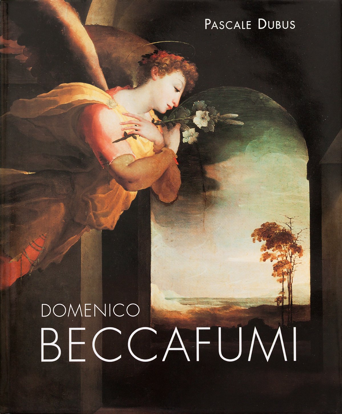 Domenico Beccafumi,Used