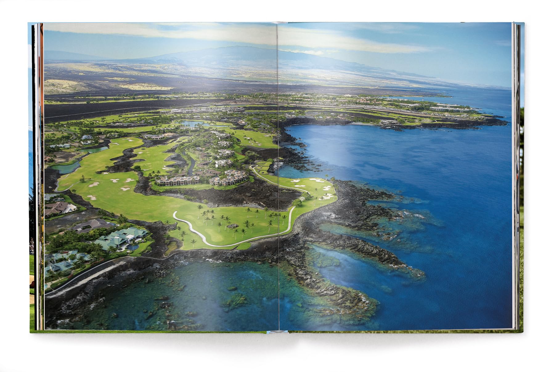 The Stylish Life: Golf,Used